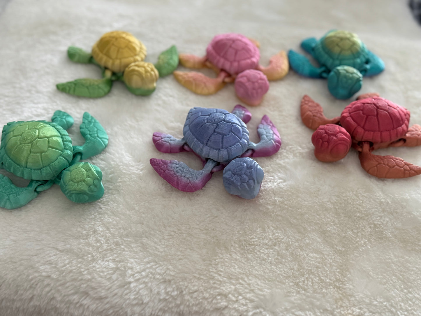 Tortue 3D