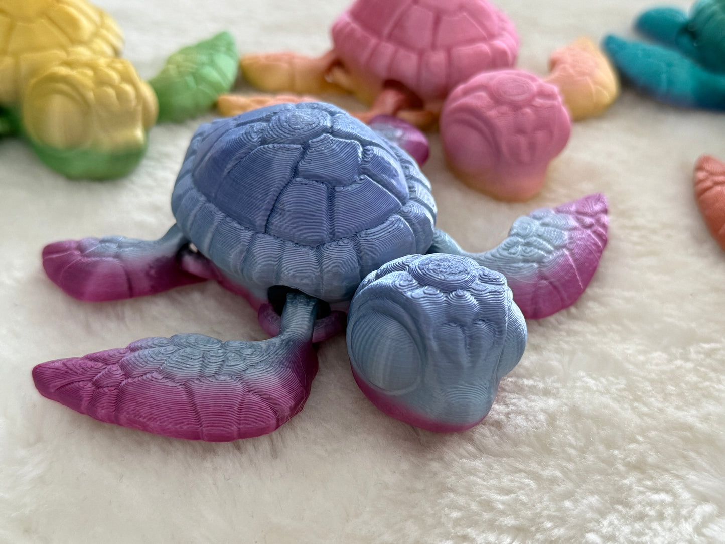 Tortue 3D