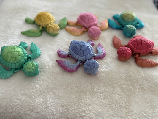 Tortue 3D